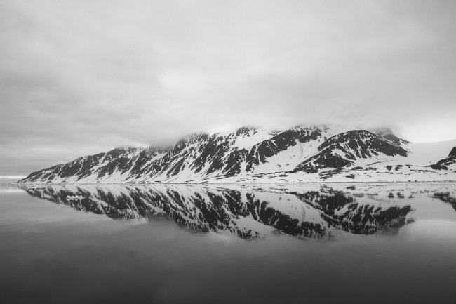 Ewa Przeździecka, Ewa Przezdziecka photography, wildlife photographer, photography