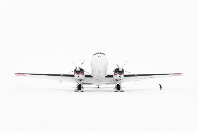 Ewa Przeździecka, Ewa Przezdziecka photography, wildlife photographer, photography