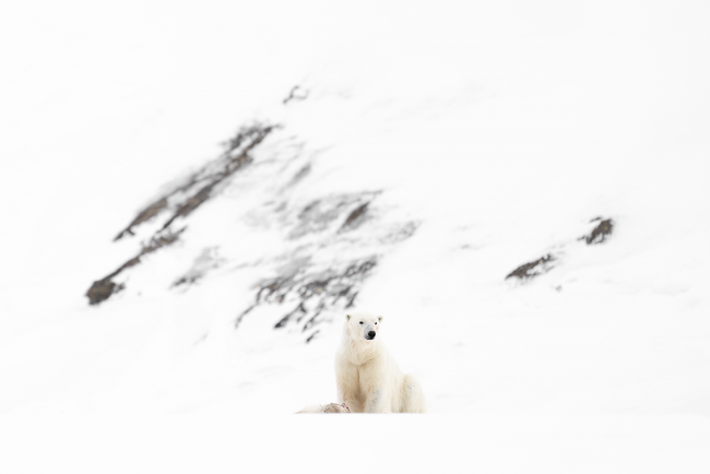 Ewa Przeździecka, Ewa Przezdziecka photography, wildlife photographer, photography